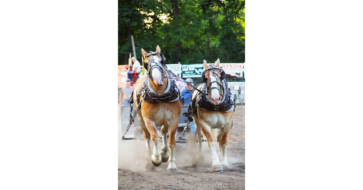 9-10-20 Pickering Horse Show 3.jpg